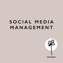 Social Media Services Boxes3